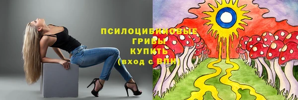 крисы Медвежьегорск