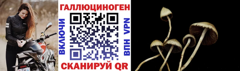 Галлюциногенные грибы прущие грибы  Лесозаводск 